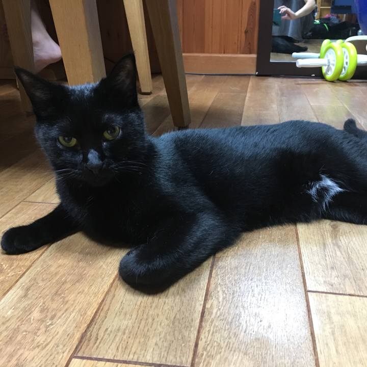 3a5704aa e076 4efe 8ad0 aa2e089609a1