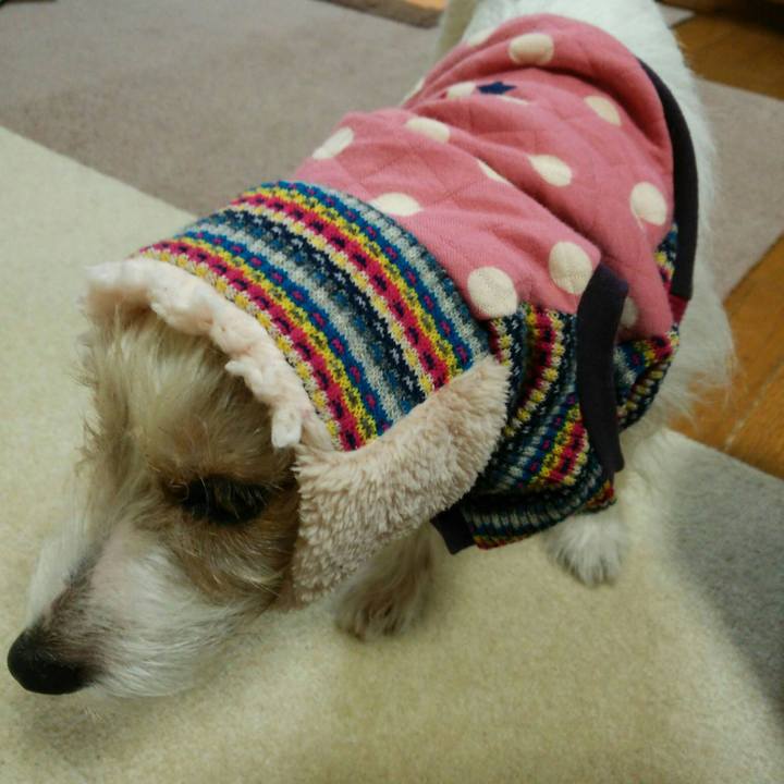 3a57177b 476d 4611 a11e 947e310c5409