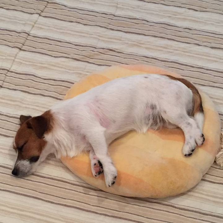 3a579d25 e4bd 4655 bc8a 1212a8937f67