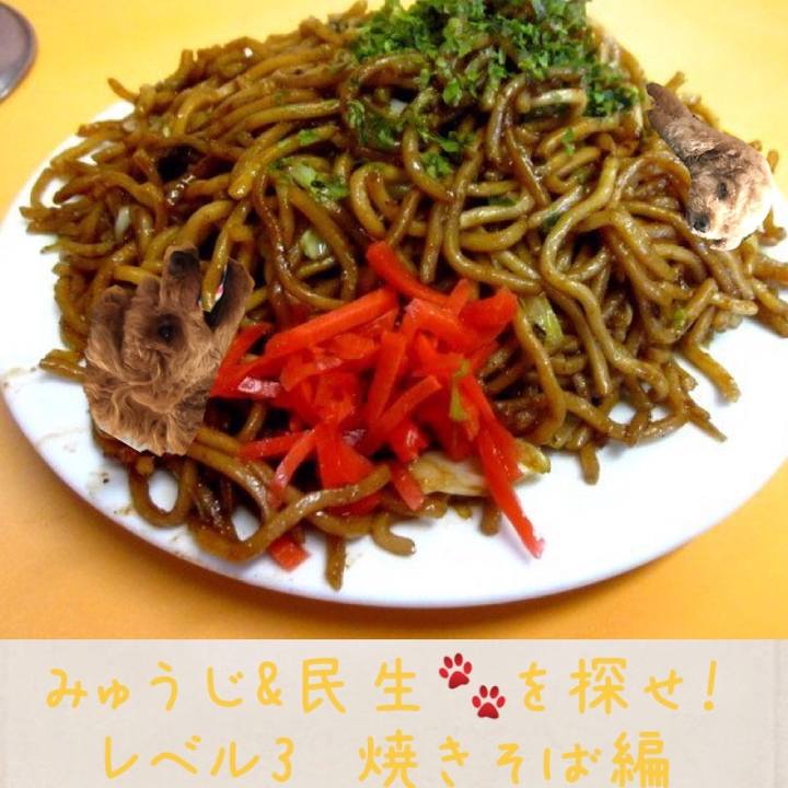 3a57a74b 63ea 487e 9606 c75f19422206