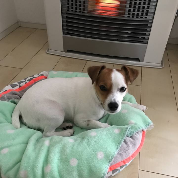 3a57e995 3882 4d3d 85bd 212bac631302