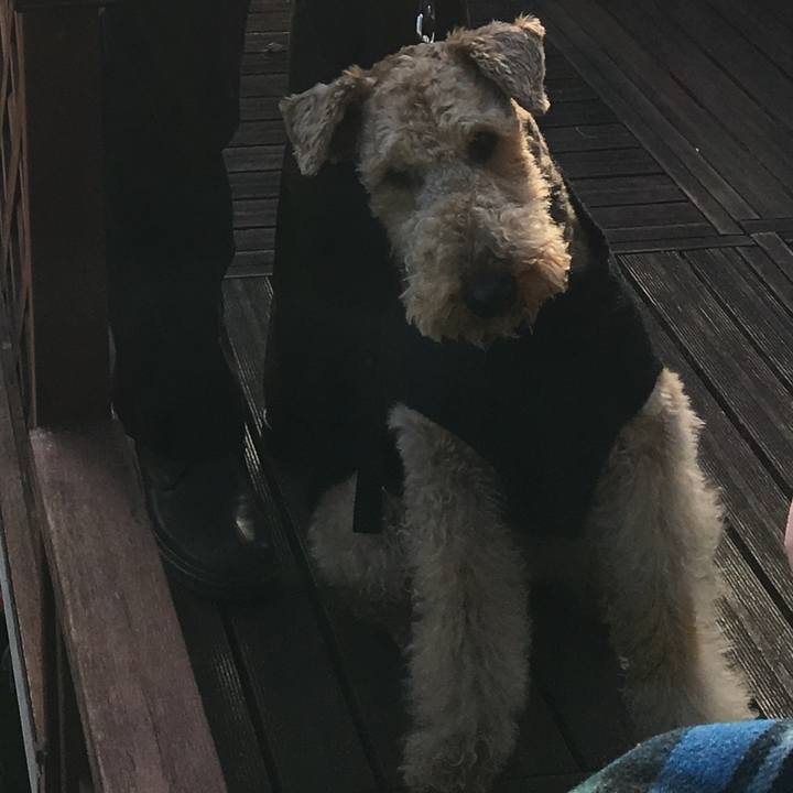 3a582253 95e5 46ff bc31 470ad36cd620