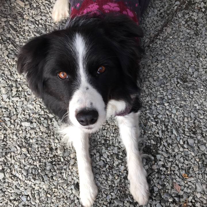 3a582df4 0c48 4a89 bf9c 0e773af3381b