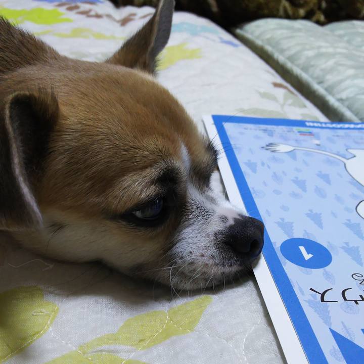 3a590e09 cfdb 41f7 86ce 17e0a83e18dd