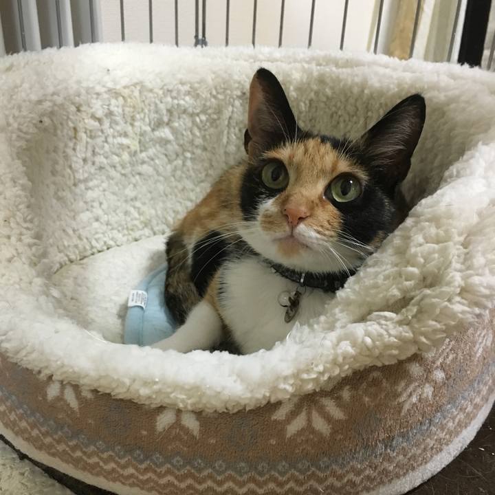 3a597a43 a799 4091 9ad7 0aeabbec0b57