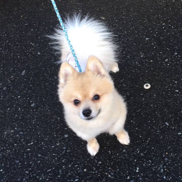 3a5a1037 288b 4090 a349 386c2ea92b12