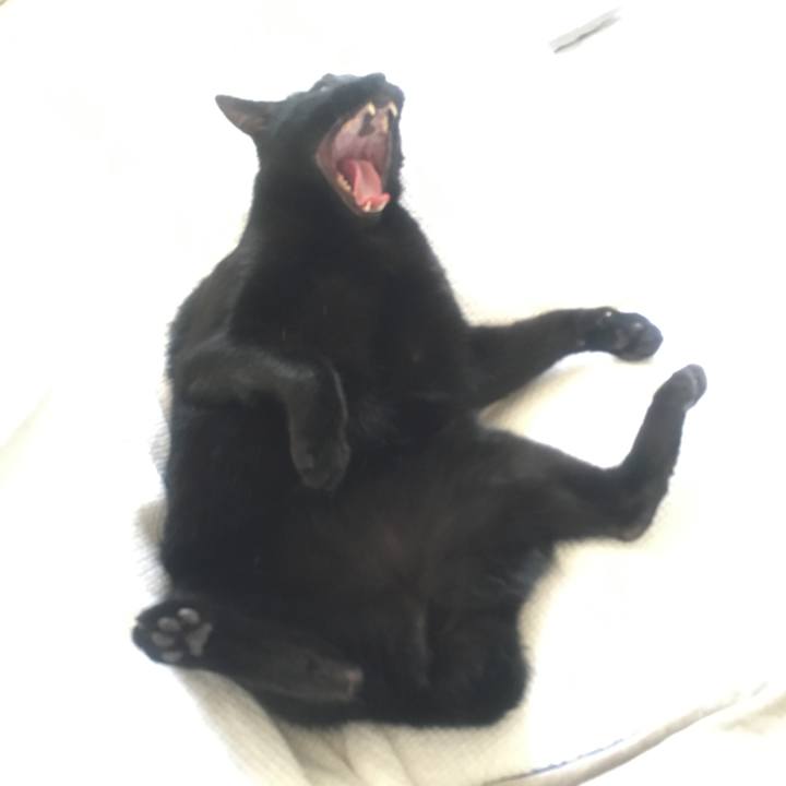 3a5ac642 ae49 4b3b a546 d2dabeeecc94