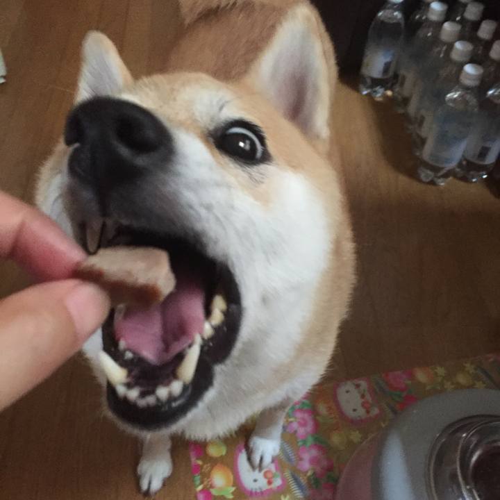 3a5bdbc0 c19e 49b1 a574 187021593f89