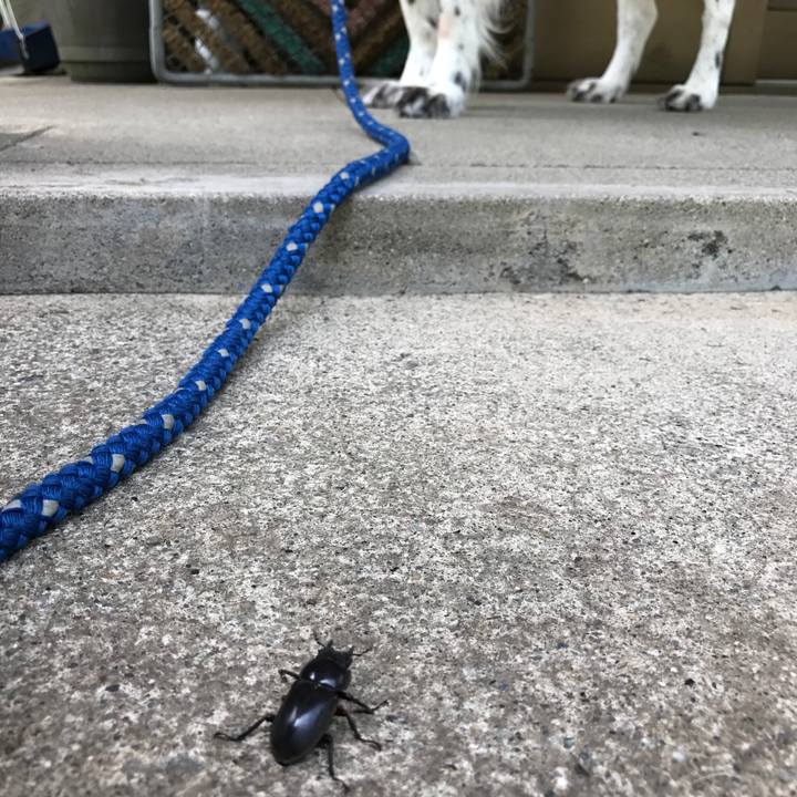 3a5c04e9 439a 4773 95c8 041031cc762f