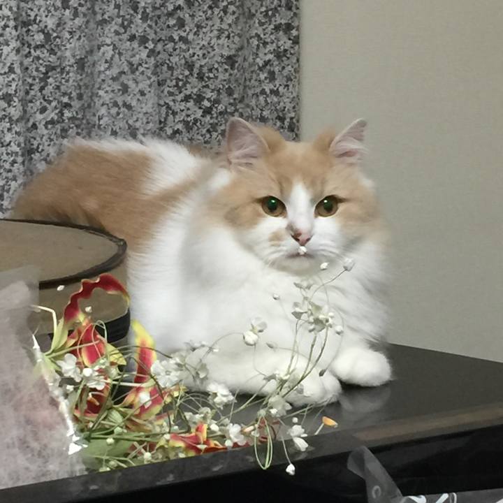 3a5c51eb 26cc 4748 98c4 3d3a361923cf