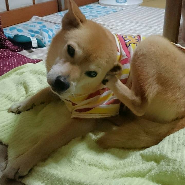 3a5c9450 81de 4b0a 83b7 a40a19d34533