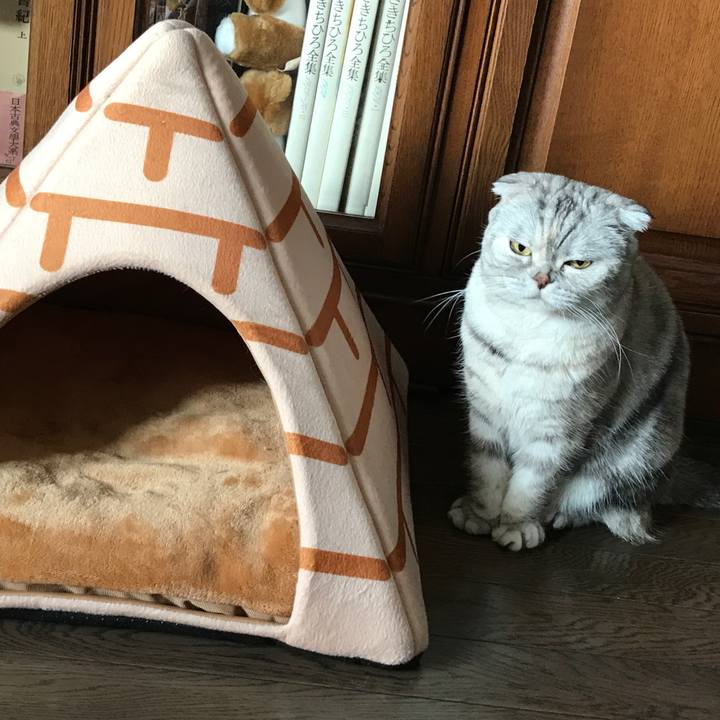 3a5db2c5 dbef 468d b998 322910203287