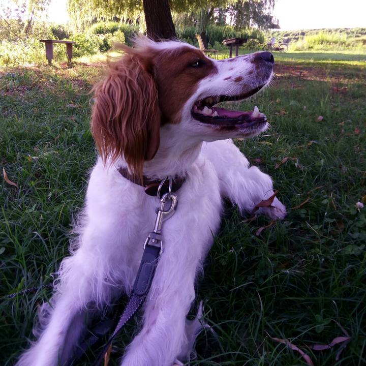 3a5e062c 6d63 4a06 b8ed 3655623bddfe