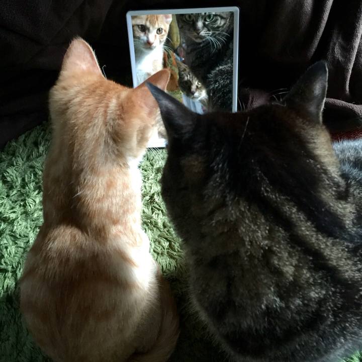 3a5f88b3 623b 4deb bc38 dc21ac513b83