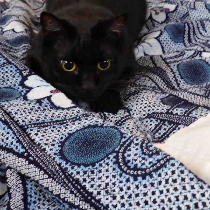 3a5fb6c5 ed8a 420e 9f09 2ab78df08a1b