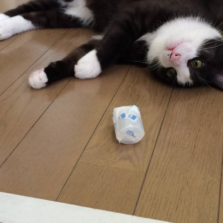 3a6038cb 5ddd 45ac 989b 8fb76420ca88