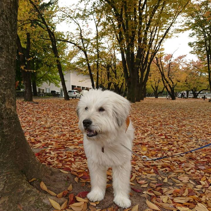 3a60571d f4e1 4a62 ab00 3b15363d073d