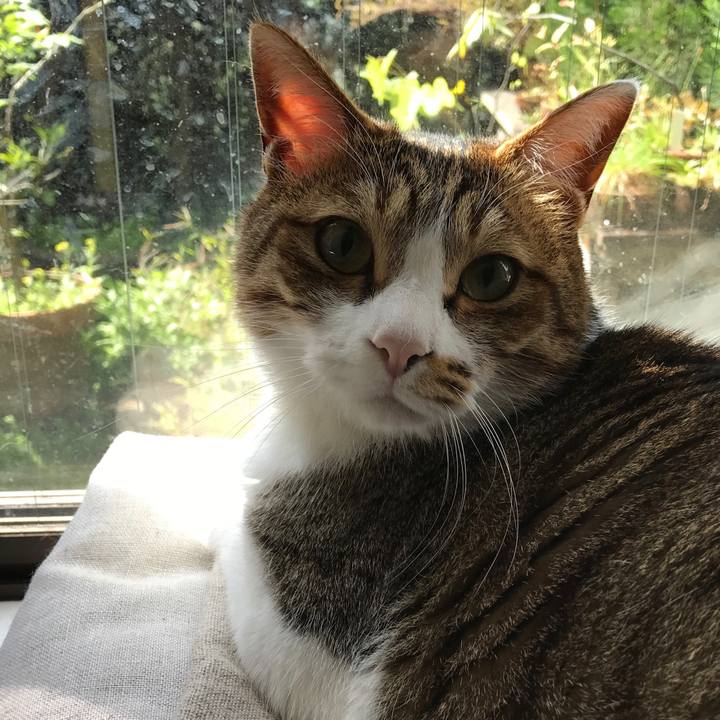 3a605e88 4125 4e52 8ce5 c409f48e25f1