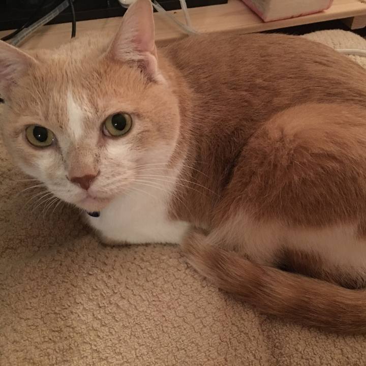 3a608f75 7685 4291 b193 28207319b933