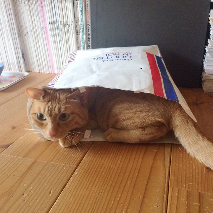 3a60c40e 5b4e 4883 a38f af2d03cb30e8