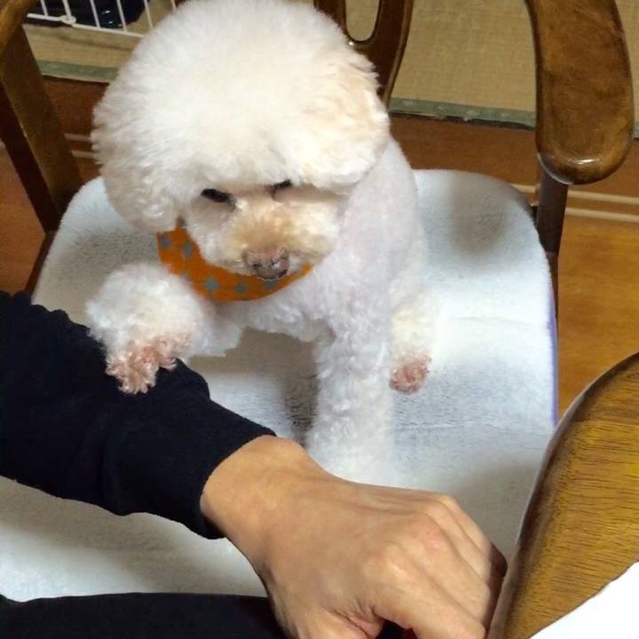 3a61e755 2d25 4292 a06a 255e1f8b4d20