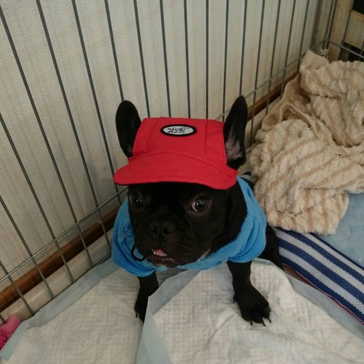 3a623002 df4a 4b85 9833 940576deba90