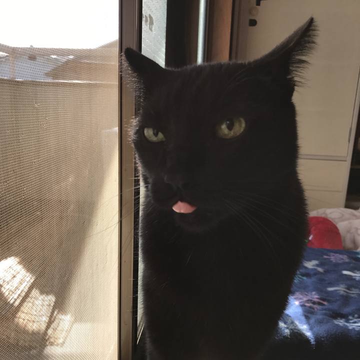 3a62520d ac7f 4074 b49a fc8ee95a9abf