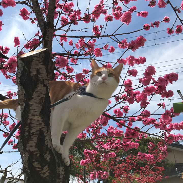 3a626f41 06fc 4fdc be63 33b152de862b