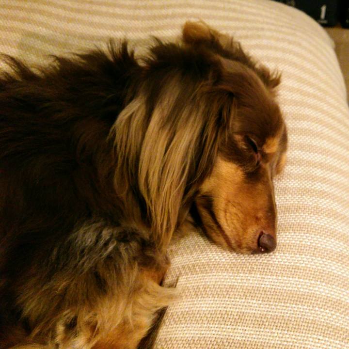 3a629ab7 ca88 4956 91c6 461d19854069