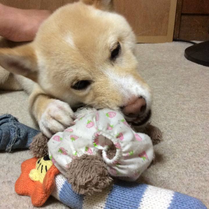 3a62bc8b 82a8 482b a24c fb1d1eb975b3