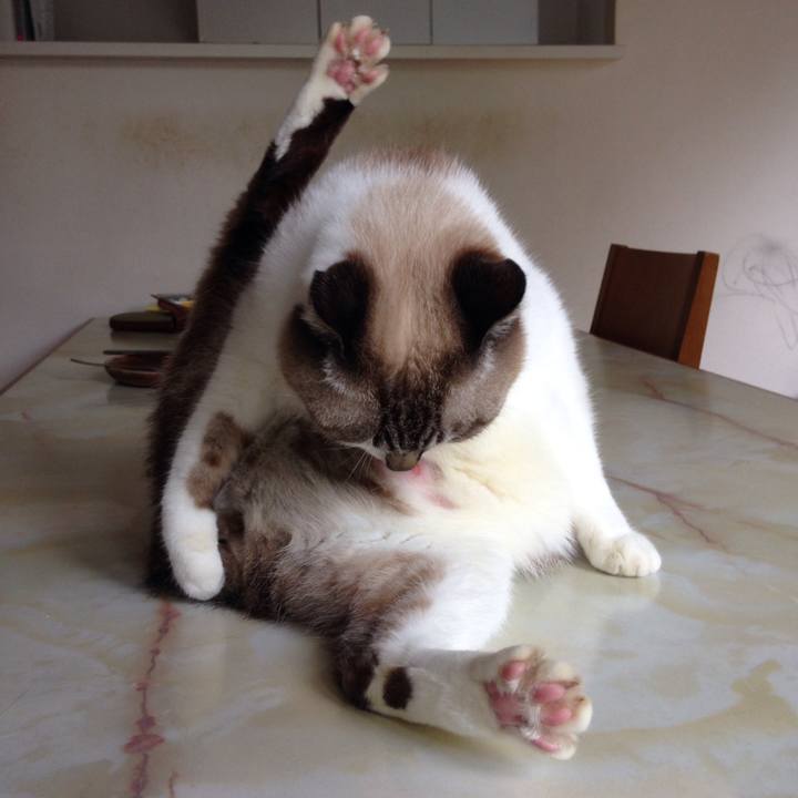 3a62d247 f2f7 488b bce5 68d73bcc67e6