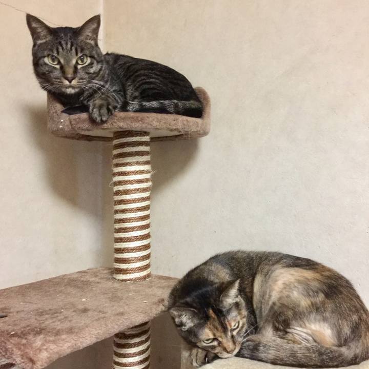 3a6345e8 51ee 4aea 9852 89d538856ded