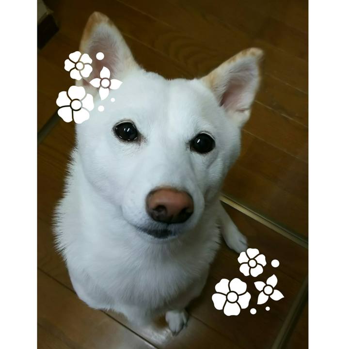 3a640900 b97b 49c4 88b3 346bc02b24bb