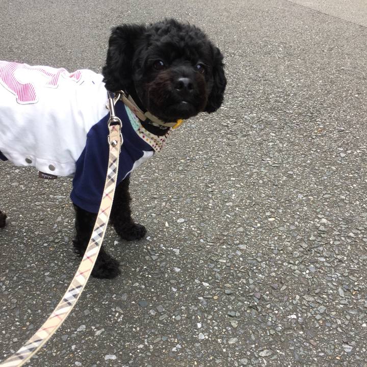 3a645f44 1ed4 4702 a14e 2229b8097ceb