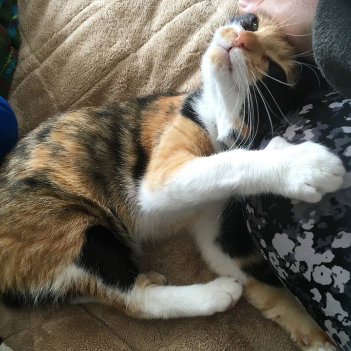 3a648b1c e17e 4607 9c11 f9568d342236