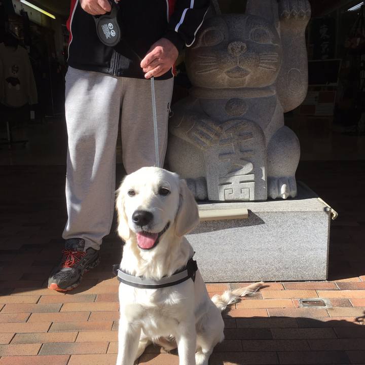 3a65468c b6ae 4c6b 8758 0c578e27b8cf