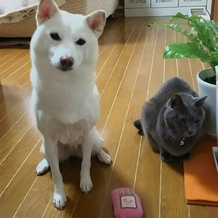 3a654e8f 7a5b 4866 95e0 0cde2b32c2ba