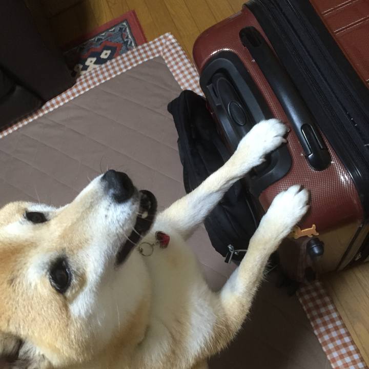 3a656a61 6636 45de b492 24feffc9e016