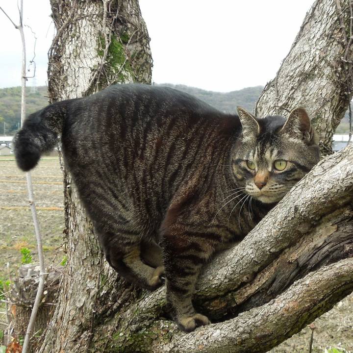 3a65eb3f f43c 4949 ac5b d06b935879fa