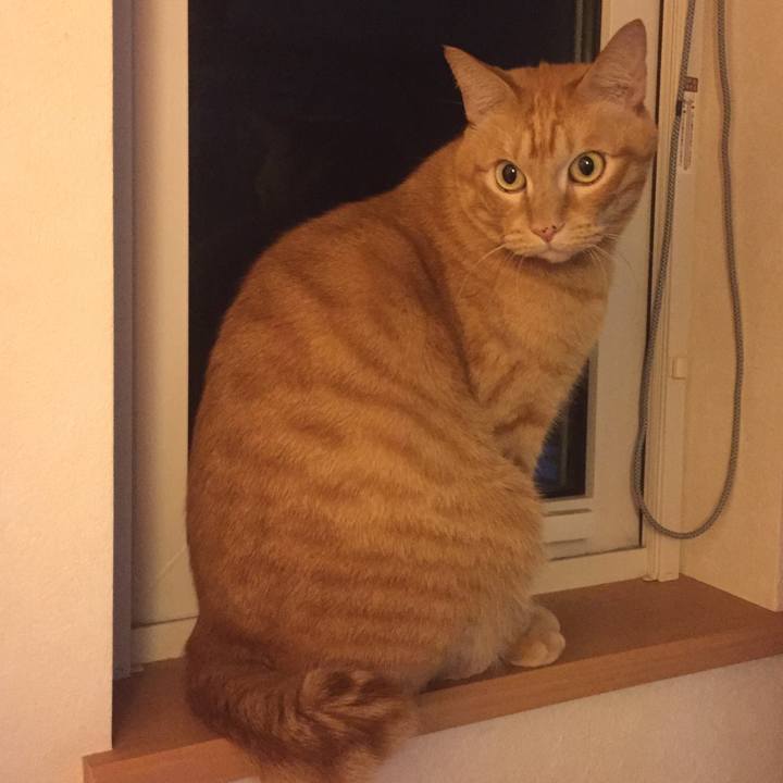 3a66a52b 163d 40d4 a522 98b5f4f5a1e9