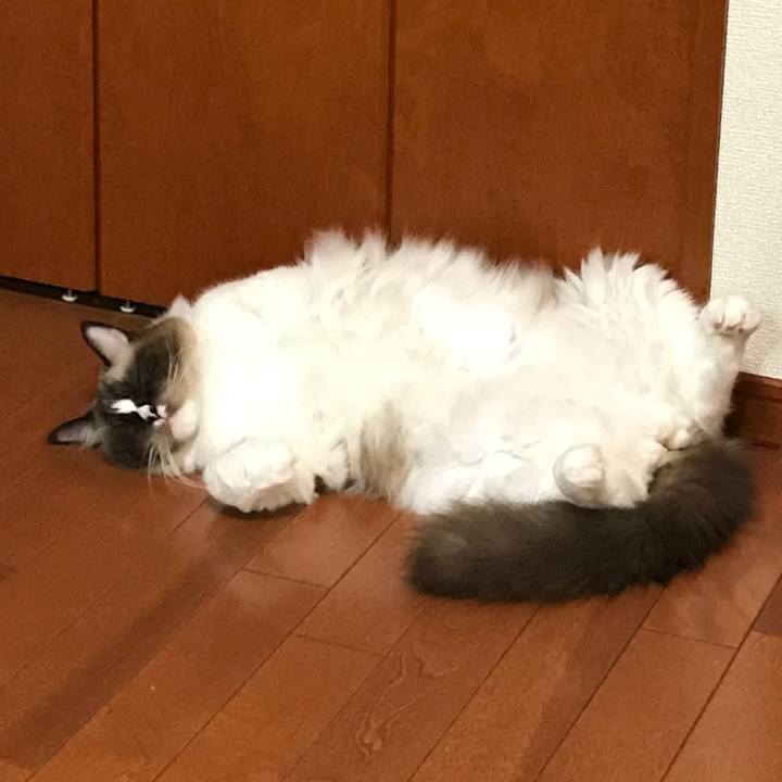 3a66e15b c823 4d72 ac9a cf4b1d2be1e1