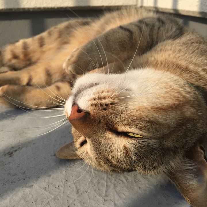 3a675b3c 2303 4dca 91fb a9b181382cf2