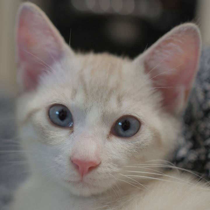 3a67b116 22aa 42d1 a90f 646b4e614269