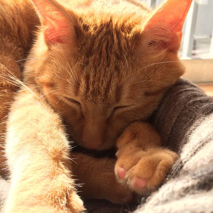 3a681c50 f831 4ce5 acb6 0be8223ce673