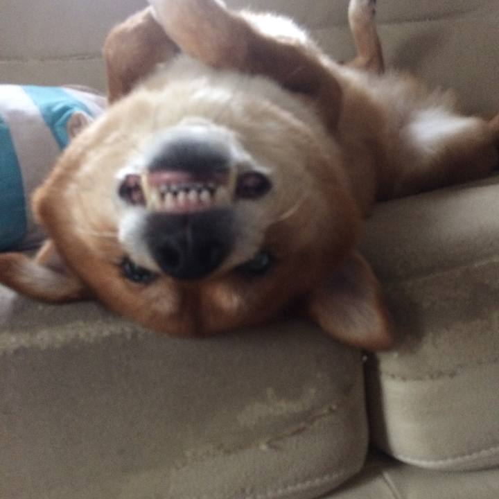 3a6844f8 c49f 4a7b b1ba b5cd4228676a