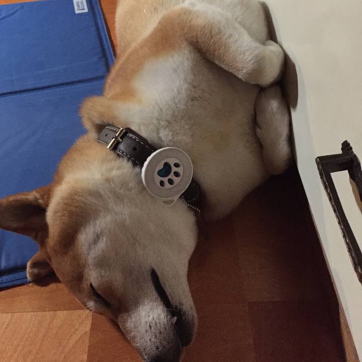 3a689f3c c811 4603 ba3f be0db4beb998