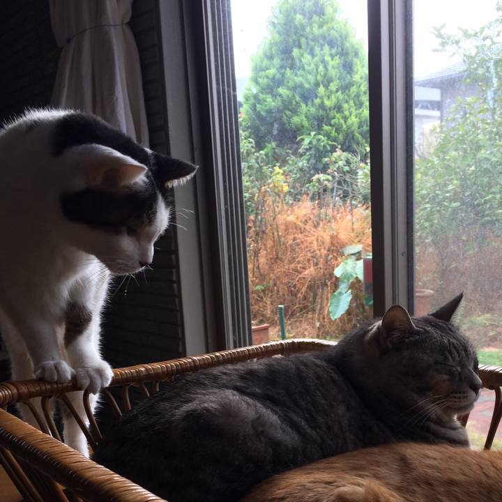 3a68bec1 2747 4809 8980 213940cd8735