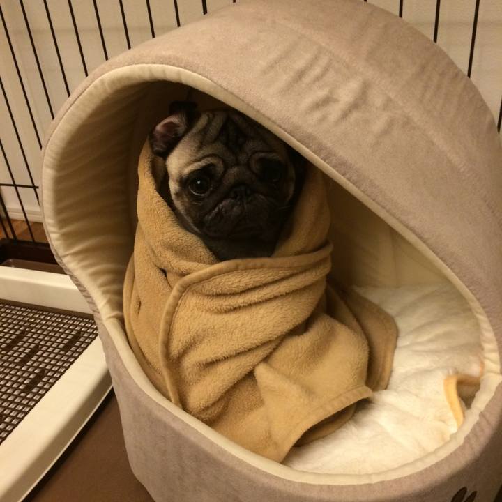 3a6949e6 3fa9 4f24 a66d 97080cd4d06e