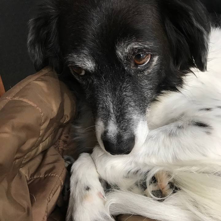 3a695a23 80c4 4a79 9e44 a2db8803f353