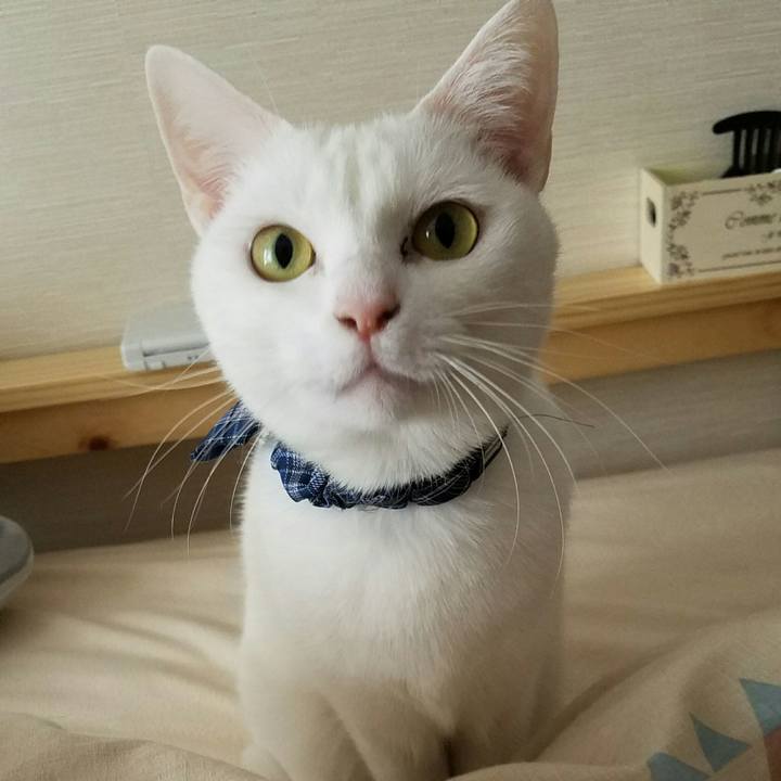 3a6ae631 8dad 42f2 b2ec 6725568a271f